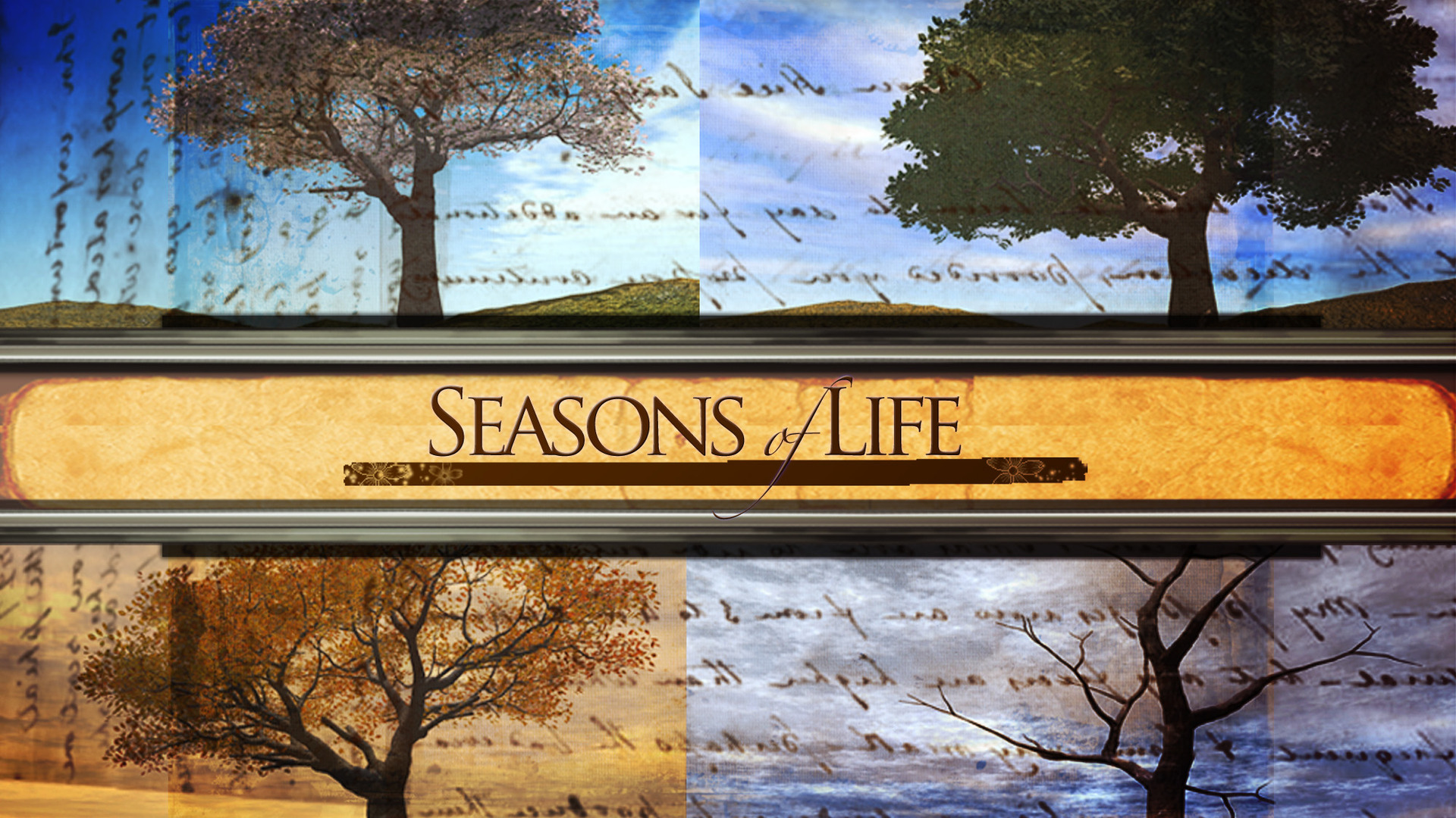 The Bible Chapel Blog - Beautiful Change: Embracing Life’s New Seasons